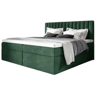 Fun Möbel Boxspringbett Schlafzimmerbett LINNEA 200x220cm Stoff Grün inkl. Bettkasten - Grün