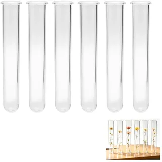 6 Stück Acryl Kunststoff 12cm Transparente Reagenzglas Kunststoff, Wiederverwendbar Reagenzglas Vase mit Rundboden für Labor Chemie Biologie, Deko Vase,DIY-Handwerk Hochzeit, Gewürze