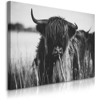 Muralo Leinwandbild Für Esszimmer Schottische Hochlandrind Kuh Tier 3D 120/80 cm , Schwarz, Weiß, Grau , Textil , Tiere , Rechteckig , 120x80 cm , Bilder & Rahmen, Bilder, Leinwandbilder