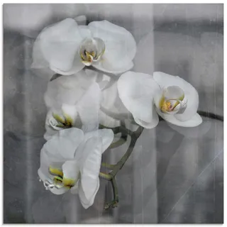 Artland Glasbild »Weisse Orchideen - white Orchid« Blumen 1 Stk. tlg. in verschiedenen Größen, schwarz