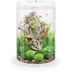 biOrb 72067 TUBE 30 LED, weiß (30 L) - 360-Grad Deko-Aquarium | Komplett-Set aus Acryl-Glas mit LED-Beleuchtung, Filter-System und Boden-Keramik