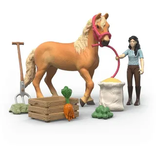 Schleich Horse Club Emily's Pflege Set 42797
