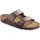 Arizona Birko-Flor Normal, Braun