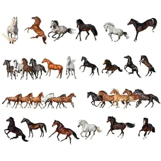 Baluue 4 Bögen Pferde Wandtattoos 20X30cm PVC Selbstklebend für Kinderzimmer Wohnzimmer Ebene Wandaufkleber Dekoration