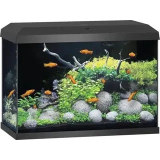 Aquarium JUWEL Primo 70 inkl. Abdeckung mit LED-Beleuchtung, Heizer, Filter ohne Unterschrank schwarz