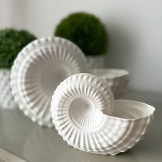 Vase mit Schnecke, Weiß, 3D-Druck, Design: echte Muschel gescannt, Küstendekoration aus ökologischem Biokunststoff, Größen 18 x 13 cm und 24 x 20 cm (18 x 13 cm.)