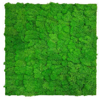 Wandpaneel Modular Wall 52 x 52 cm rich green