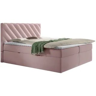 Mid.you Boxbett , Rosa , Textil , H2 , Höhe ca. 19 cm , 160x200 cm , Topper durchgehend , Schlafzimmer, Betten, Boxspringbetten