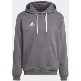 adidas Herren Entrada 22 Sweat Hoodie, Team Grey Four, XL