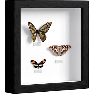 EUGAD 3D Bilderrahmen zum befüllen, 20x20, cm, Schwarz, 3cm Tiefer | 3D Objektrahmen, Tiefer Rahmen für Wand- & Tischrahmen, Shadow Box für Fotos, Hochzeitsstrauß, DIY Kunstwerke