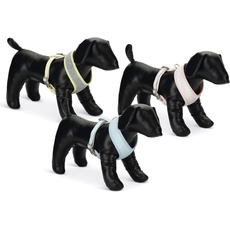 Beeztees Bronda (S, Hund, Spazieren), Halsband + Leine