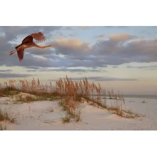 Papermoon Fototapete »DÜNEN-MEER SEE KÜSTE NORDSEE OSTSEE STRAND SYLT BAUM«, bunt