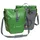 Aqua Front Paar parrot green