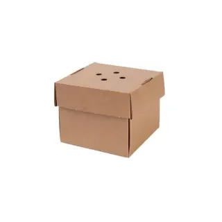 Greenbox Burger Box, braun, faltbar, 13 x 13 x 10 cm, Stabile Kartonbox mit Löchern im Deckel, 1 Karton = 100 Stück