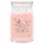 Fresh Cut Roses Duftkerze 567 g rosa