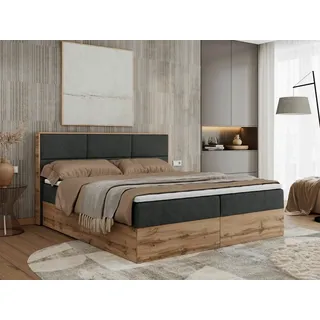 MKS Meble Albero-2 200 x 200 cm H3 Grau