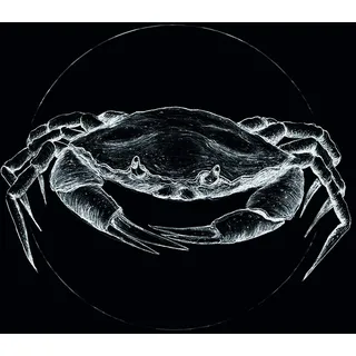 KOMAR Wandbild Crab Black 50 x 70 cm