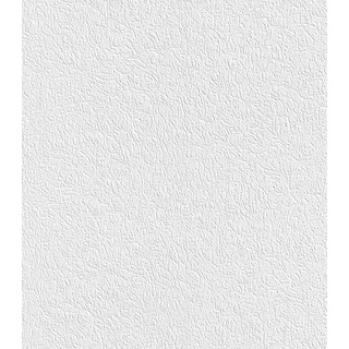 Rasch Textil Rasch Vliestapete 882100 Selection Uni Basic 10,05 x 0,53 m