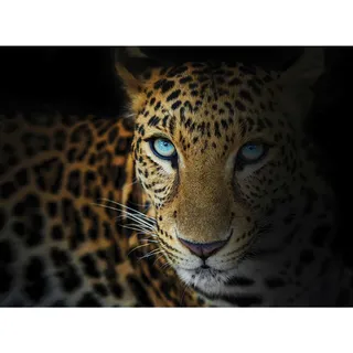 Keilrahmenbild , Schwarz, Weiß , Holz, Papier , Kiefer , rechteckig , 135x100 cm , Keilrahmen , Bilder & Rahmen, Bilder, Leinwandbilder