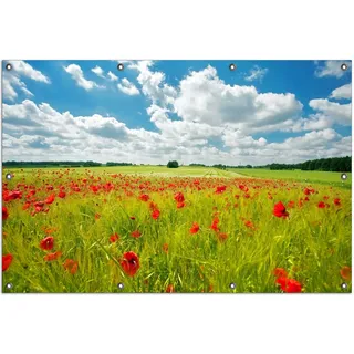 Wallario Outdoor-Poster für Garten oder Balkon, Motiv Grüne Wiese mit Mohnblumen, in ca. 100 x 150 cm - Gelb