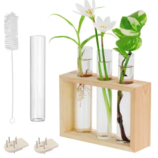 Belle Vous Hängende Glas Reagenzgläser für Blumen - 4 Kleine Vasen Set (1 Ersatz) mit Holzständer - Reagenzglas Vase für Pflanzen, Pflanzenvermehrung, Hydrokultur & Deko für Tisch oder zum Aufhängen