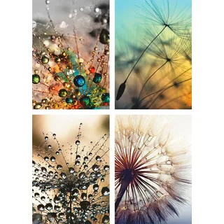 Artland Poster »Pusteblume,Nahaufnahme Löwenzahn« Blumen 4 Stk. tlg. Bilder Set, 4tlg., ohne Rahmen, beige