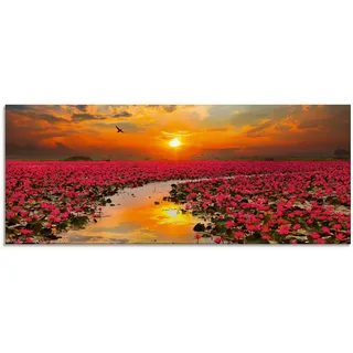 Artland Glasbild »Sonnenschein blühende Lotusblume« Blumen 1 Stk. tlg. in verschiedenen Größen, orange