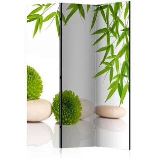 Artgeist Paravent Green Relax Grün/Weiß