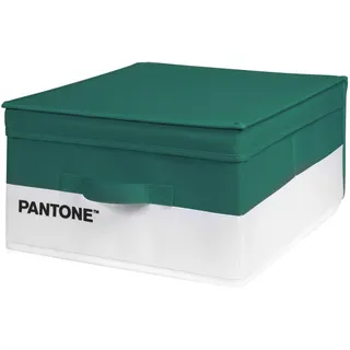 PantoneTM – platzsparender Kleiderschrank-Organizer, Aufbewahrungsbox für Gegenstände und Kleidung mit Tasche für Duftspender, Kleiderschrank, Spielzeugkiste für Kinder und faltbare Kleidung,