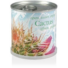 MacFlowers Extragifts Blumen in der Dose - Kaktus - Cactus