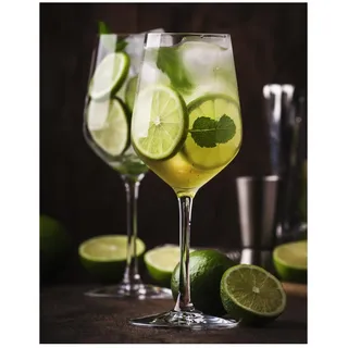 Topkapi Gin Momento Ballon Glas 0,48 l 6-tlg.