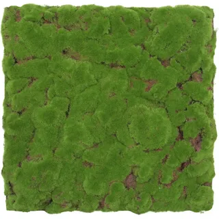 Jangal Wandpaneel Modular Wall Forest Green Bulk Design moos 52 x 52 cm