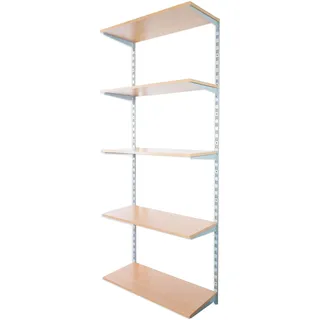 Biedrax Wandregal - Grundregal 50 x 60 x 200 cm, Farbe silber - 5 Fachboden Buche