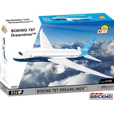 Bild Boeing 787 Dreamliner,