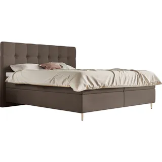 Schlaraffia Boxspringbett »Aida«, inklusive GELTEX® Next Topper, Metallfuß chrome, niedriges Kopfteil Schlaraffia taupe