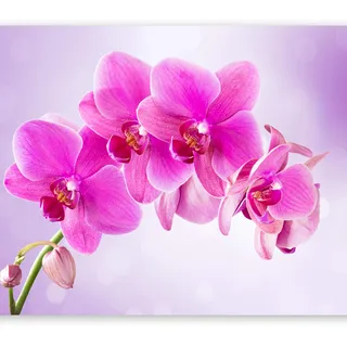 murando - Fototapete selbstklebend Blumen Orchidee, 245x175 cm, Wohnzimmer | Selbstklebend ohne Kleister, Full HD Druck, ideal fürs Wohn- oder Schlafzimmer, schnelle Montage, lichtbeständig, geruchsfrei