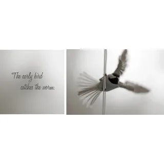 Queence Leinwandbild »Early Bird« grau (farbe bild(er): grau), B:100cm H:40cm T:2cm, Canvas, Holzrahmen, Bilder, Leinwandbild, Premium-Leinwandstoff, Handarbeit aus Deutschland, Spruch, 2er Set,