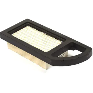 Briggs & Stratton Filter Luft schwarz 794421