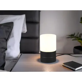 Kleine LED Tischlampe Silber mit Glasschirm Weiß per touch dimmbar, Schwarz 15cm