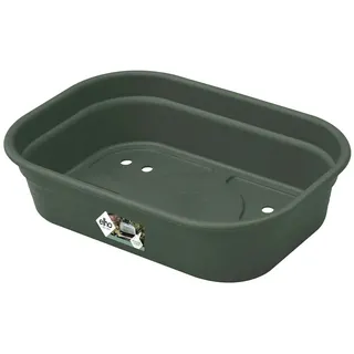 elho Green Basics S 24 cm x 17 cm x 6 cm Grün