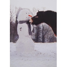 Kevin Milner, Briefumschlag, Weihnachtskarte Exmoor Pony And Snowman