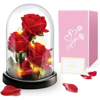 Touloube Geschenke für Frauen - Premium Rose Blume Geschenk, Ewige Rose im Glas Mit Lichter, 3 Rot Rose in Glaskuppel,Valentinstagsgeschenk für Freundin Mama Mutter Großmutter Oma