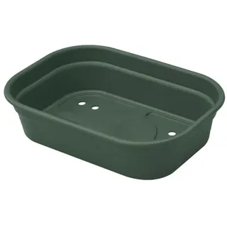 elho Green Basics Anzucht Schale S - Laubgrün - Drinnen & Draußen - L 23.9 x W 19.2 x H 6.1 cm (Packung mit 6)