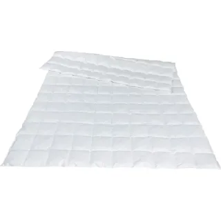 Traumina Novis Daune Einziehdecke WK 1 Größe 155x220 cm