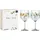 Ginglas Longdrinkglas 72 2 St
