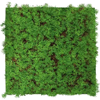 XXXLutz Wandpaneel Modular Wall 52 x 52 cm thuja tea tree