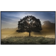 Bild von Infrarotheizung Baum in Landschaft«, Matt-Effekt - bunt