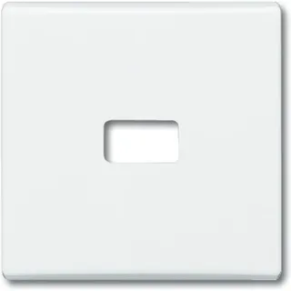 Busch-Jaeger Wippschalter 2120-32