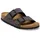 Arizona Birko-florbc Buckles velvet gray/black (960) Normal 42