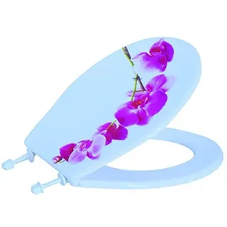MSV 140820 WC Sitz Lanyu